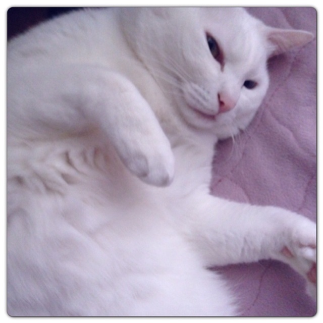 rblog-20130531013446-01.jpg