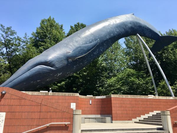 rblog-20180815235351-04.jpg