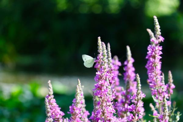rblog-20180801235131-02.jpg