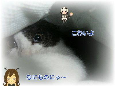 こわいよ～.jpg