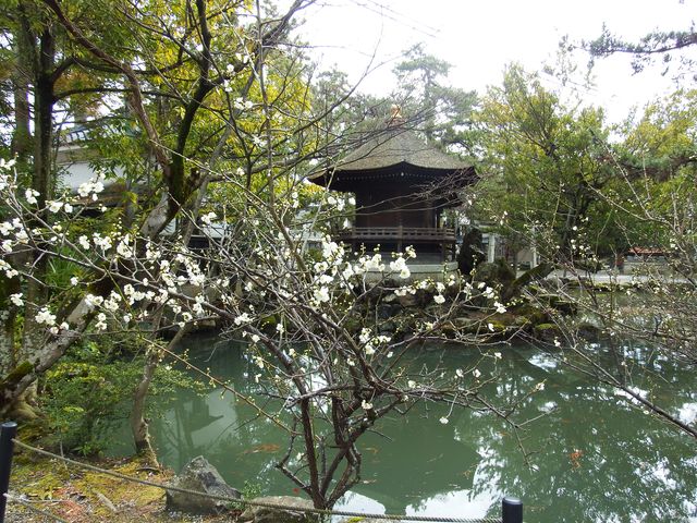 DSCF4404.JPG