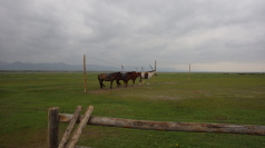 20150813IMGP001501.jpg