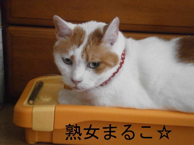 maruko
