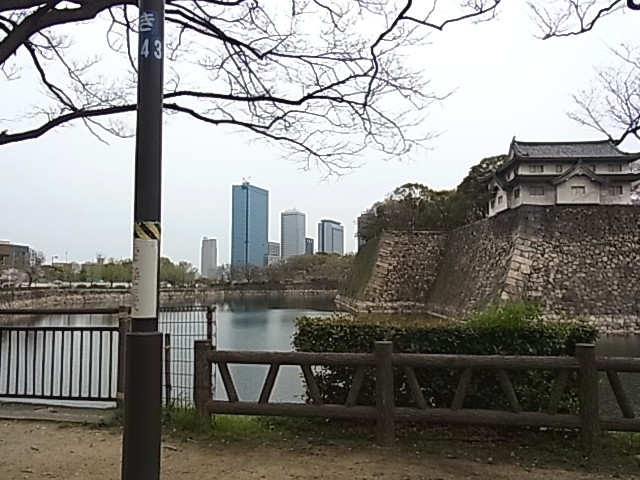 20120413_2.JPG