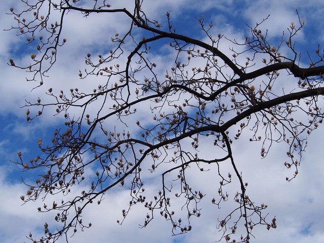 P2210384.jpg