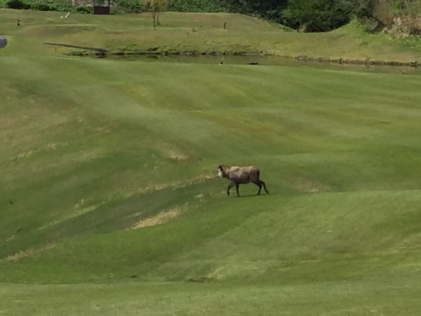rblog-20160430171530-01.jpg