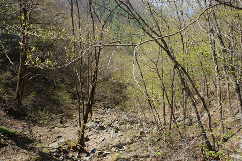 DSC04272.JPG