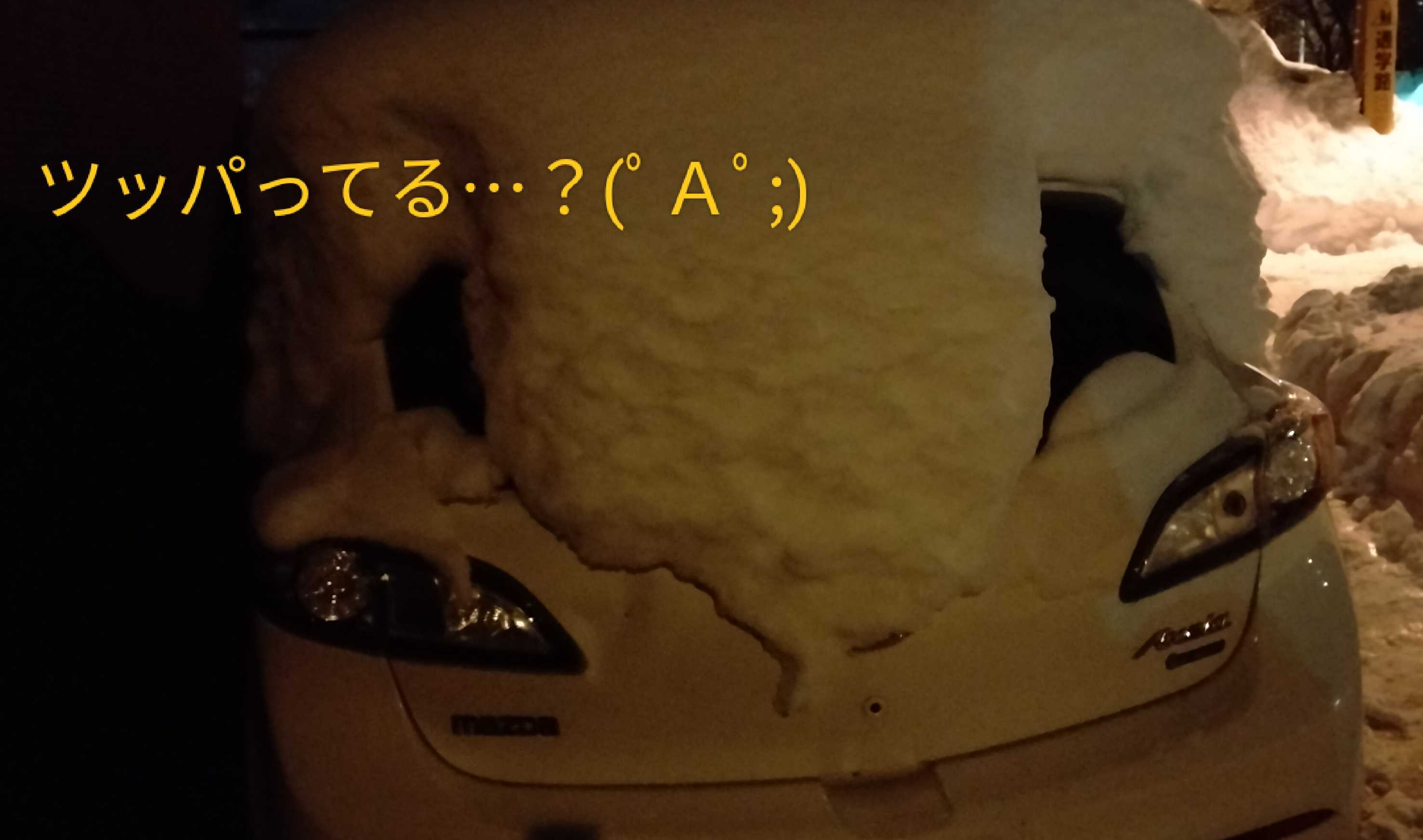くうねる日常🍀ほのぼの日記