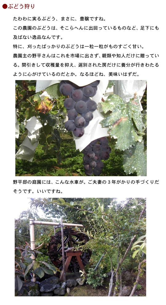 2012.10.04-4.jpg