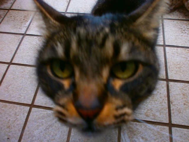 P2220336.JPG