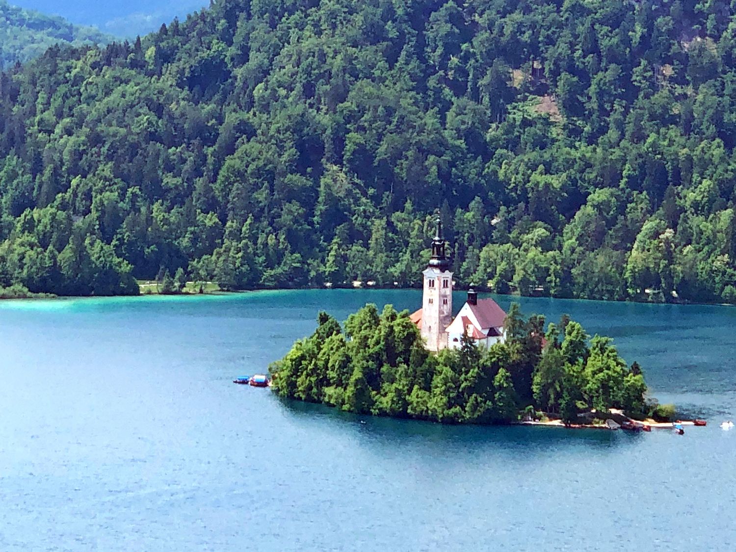 スロベニア おとぎの国に迷い込む アルプスの瞳 ブレッド湖 ブレッド城 ボーヒン湖 あしたの風 楽天ブログ