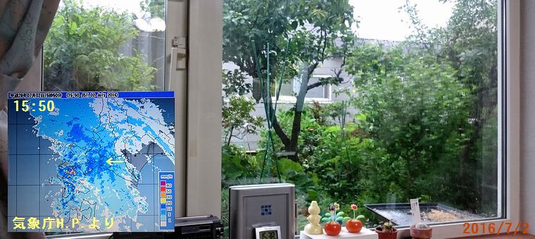 ７／２激しい雨が降り出した.jpg