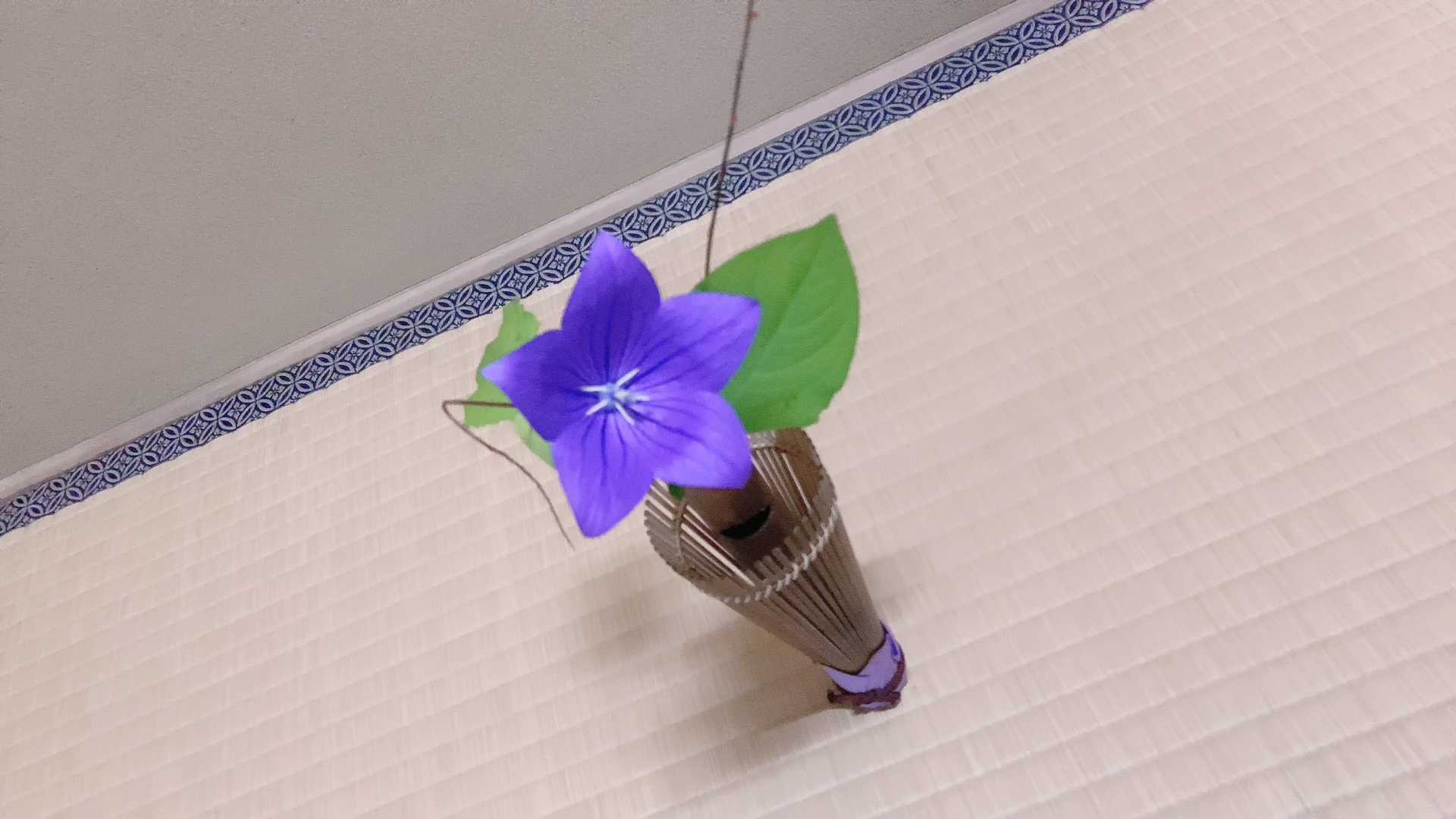 北川景子さん着用 葵の浴衣 葉蓋の洗い茶巾点前 アラサー女子のちょっとお洒落したいブログ 楽天ブログ