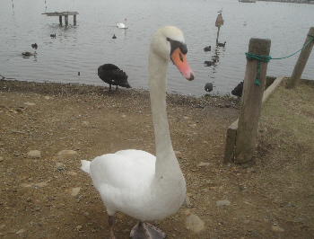2013/03/30(4)