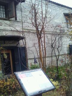 20131220_145812.jpg