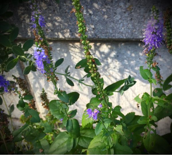 rblog-20160731172856-07.jpg