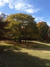 IMG_0133.JPG