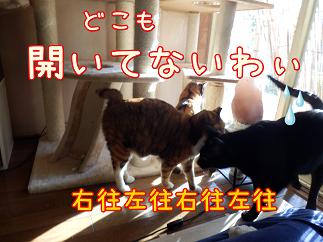 右往左往.JPG