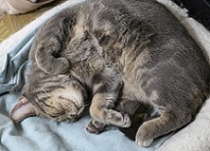 5DA_7110-22.jpg