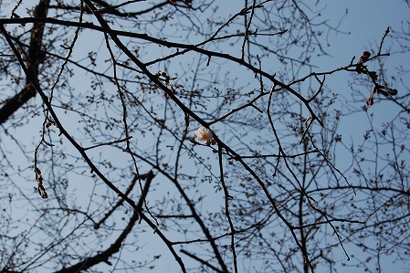 DSC_1188.jpg
