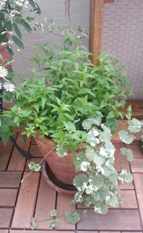 rblog-20140618155433-01.jpg