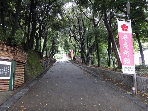 DSC09067.JPG