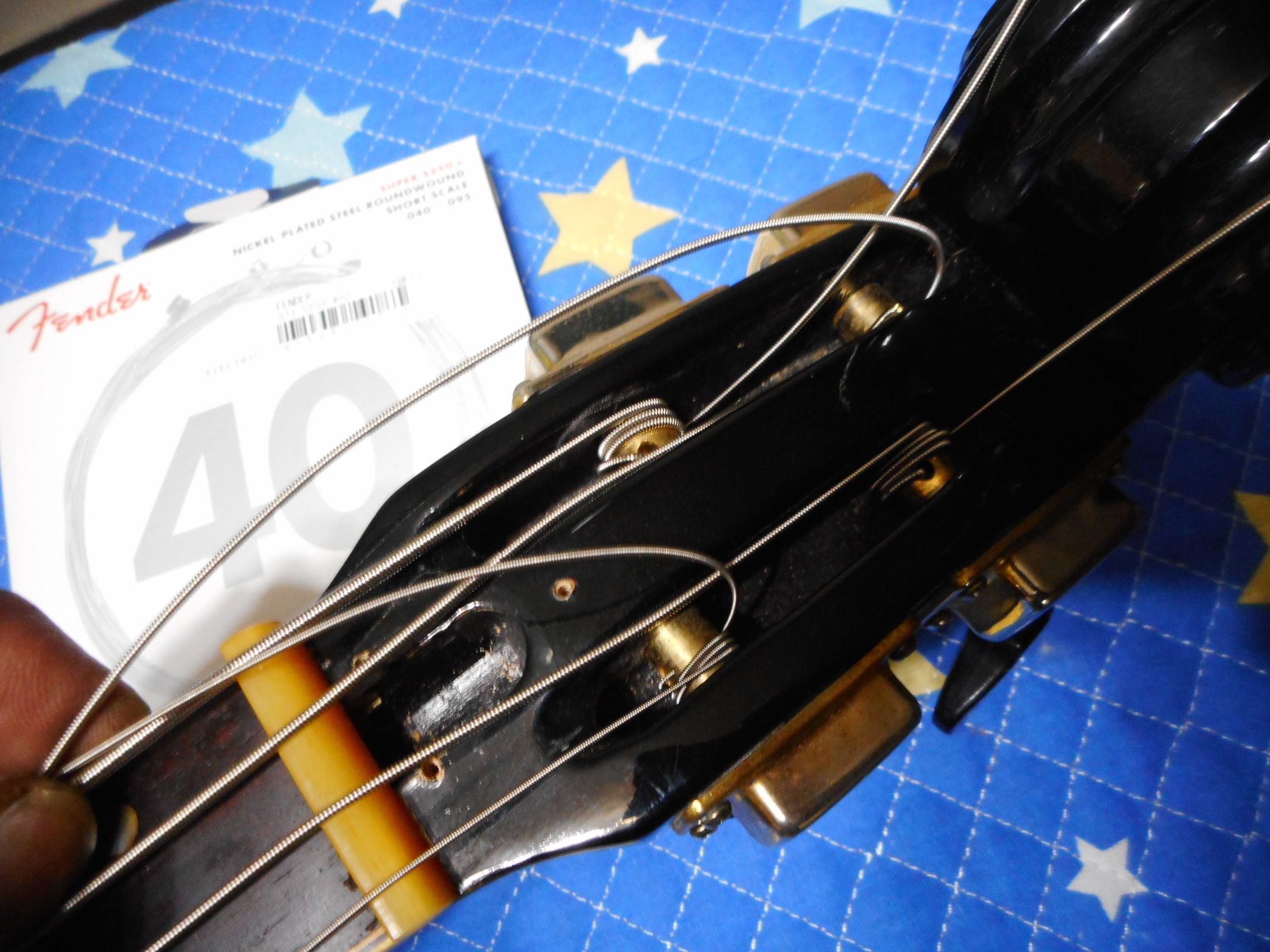 即発送 tokai バイオリンベース VB48？　2010年製　リペア調整済み Tokai VB48 VS バイオリンベース セットネック トーカイ - メルカリ