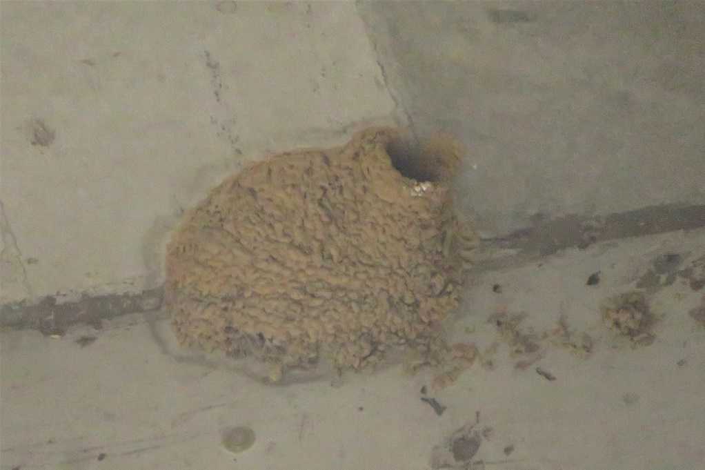 498