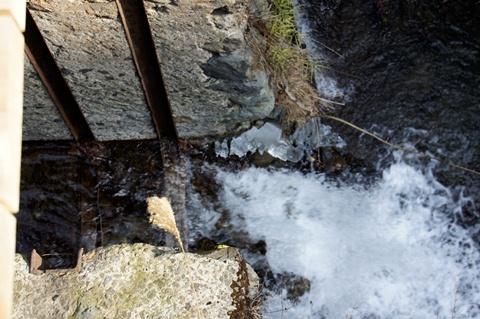 _DSC2099.JPG