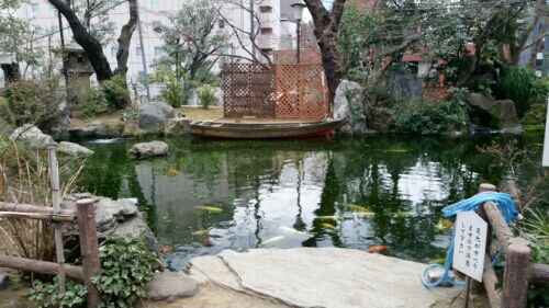 rblog-20160305211346-05.jpg