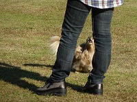 20121016150530[1].jpg