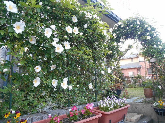 DSCN0267.JPG