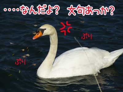 ７.JPG