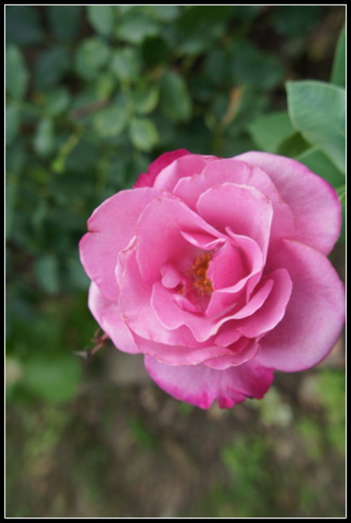 DSC02014.JPG