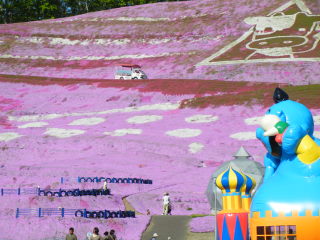 DSCN1085.JPG