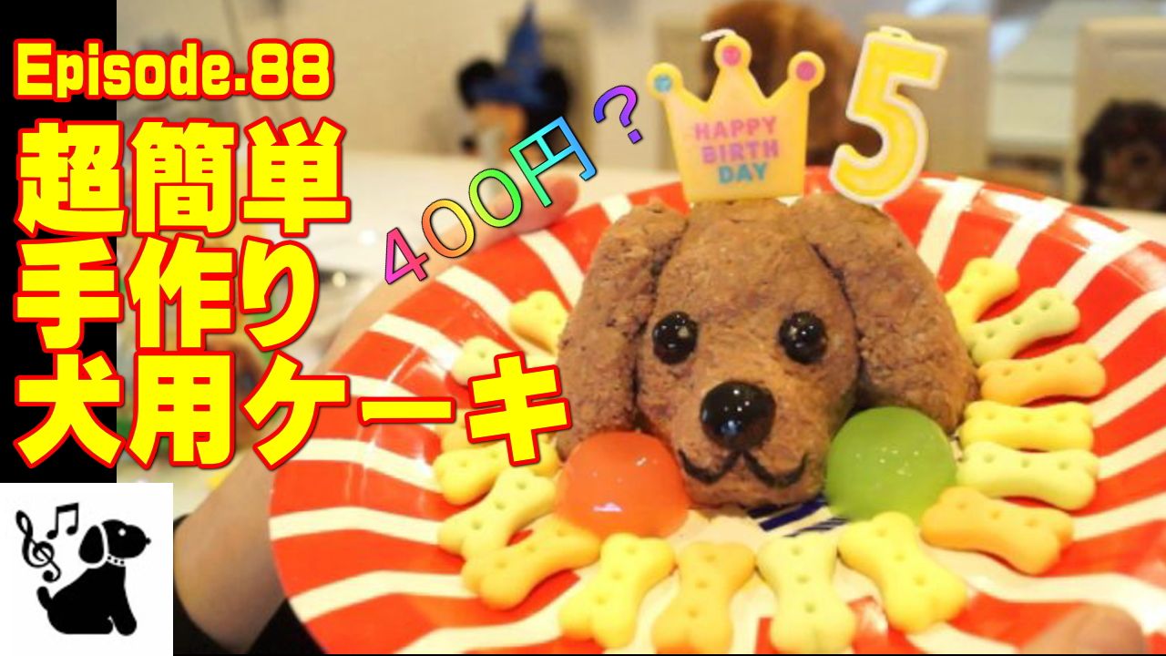 超簡単 手作り犬用ケーキの作り方 きゃぴあれてび Kyapia Tv 楽天ブログ