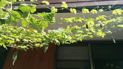 rblog-20160724090137-02.jpg