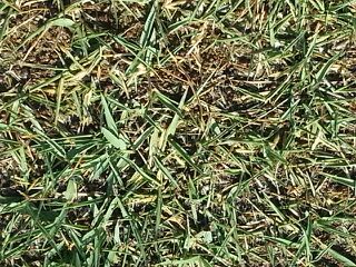 rblog-20140707204330-03.jpg