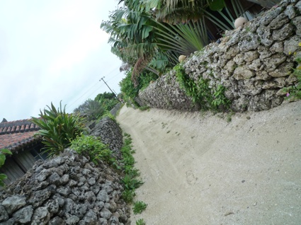 2012.05.30竹富島6.jpg