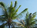 P1050930.JPG