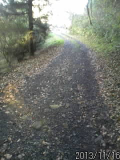 まっつぐな道６