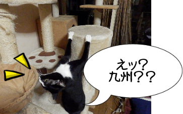 P6030023.png