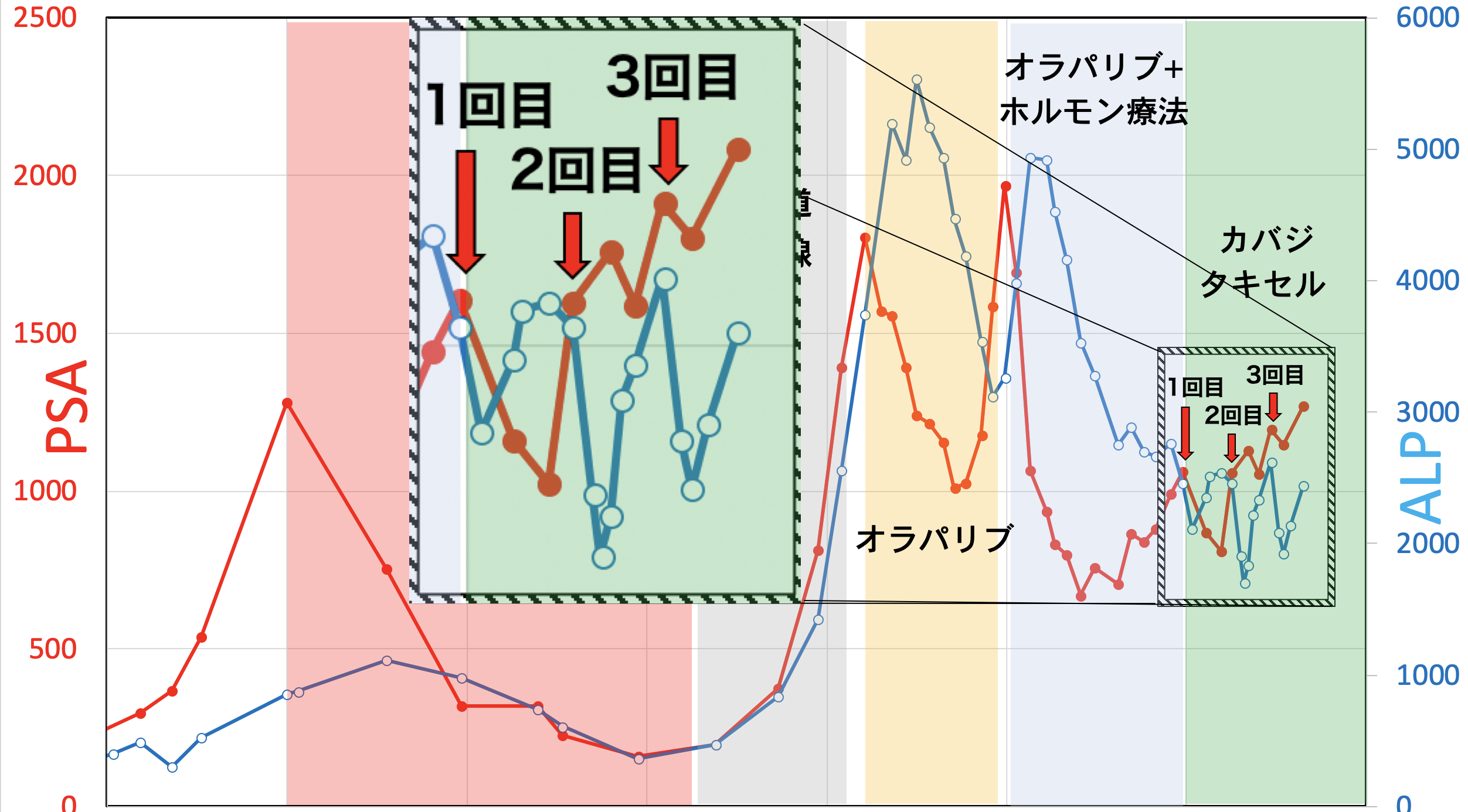 カバジタキセル1(第三クール)9+放射線(脳)+MRI ありがとう3 闘病記 楽天ブログ