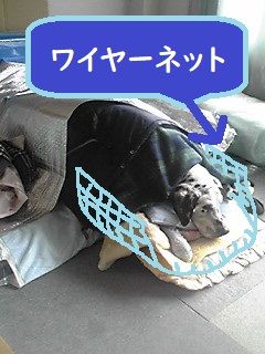 寝たきりの老犬をうつぶせ寝にしたい ことり日和 楽天ブログ