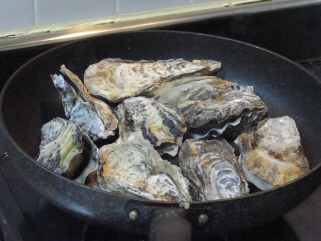 DSCN0265.JPG
