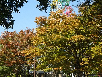 DSC02757.JPG