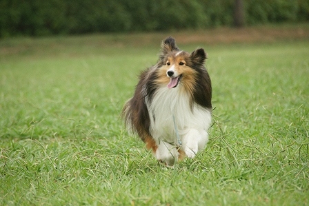DSC09052.jpg