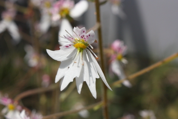 20160530004.JPG