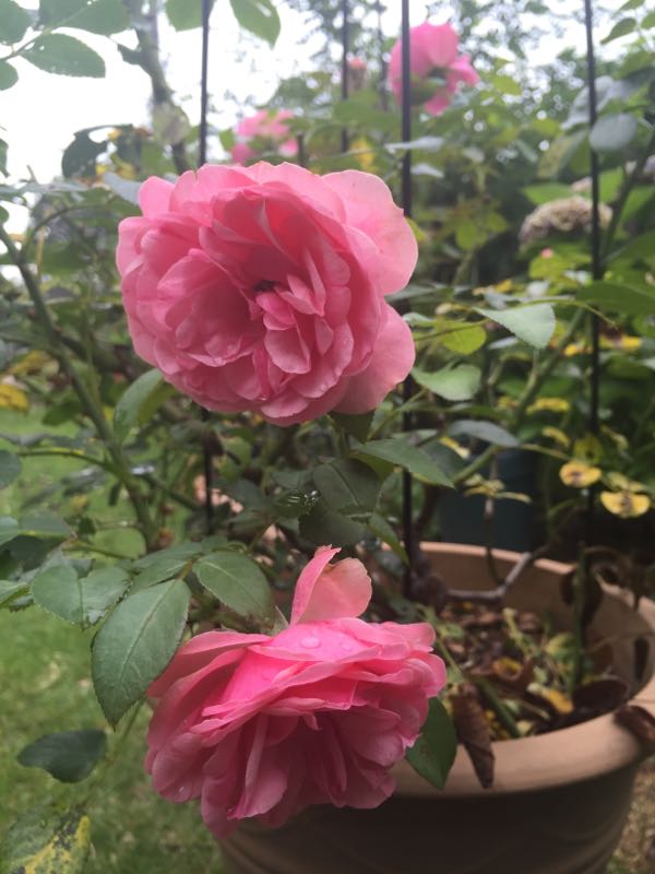 rblog-20160717154546-09.jpg