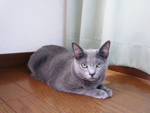2014年07月29日_P1190600.jpg